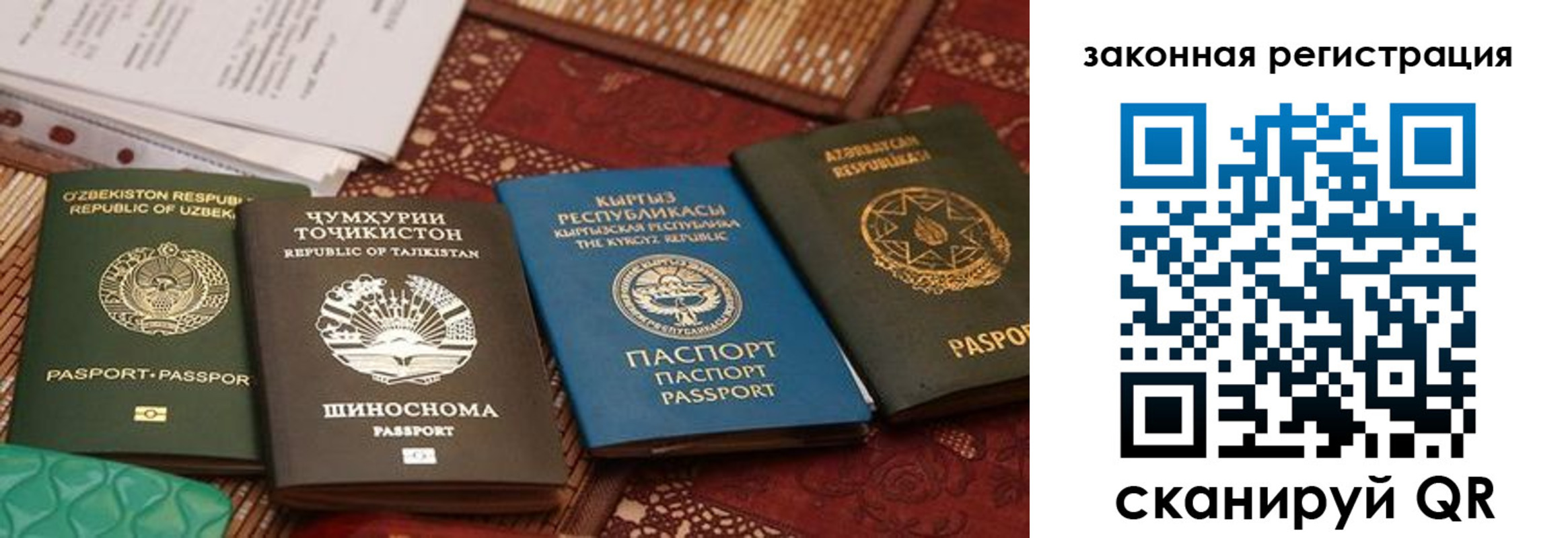 пропишу в квартире в Тольятти